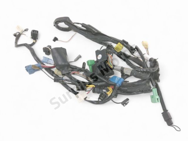 Faisceau electrique occasion SUZUKI SV 650 2000