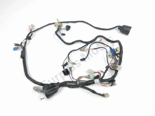 Faisceau electrique occasion YAMAHA TDR 125 2000