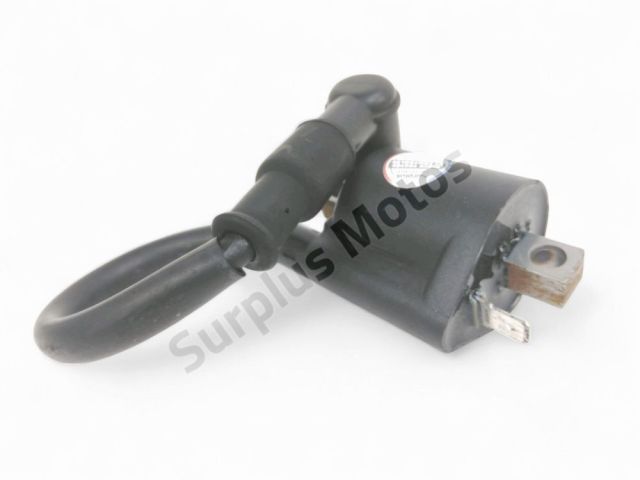 Bobine allumage occasion RIEJU MRT 2021