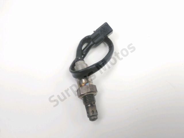 Sonde lambda occasion TRIUMPH TIGER SPORT 2024