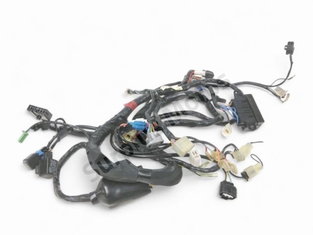 Faisceau electrique occasion YAMAHA YZF 1000 THUNDER ACE 1999