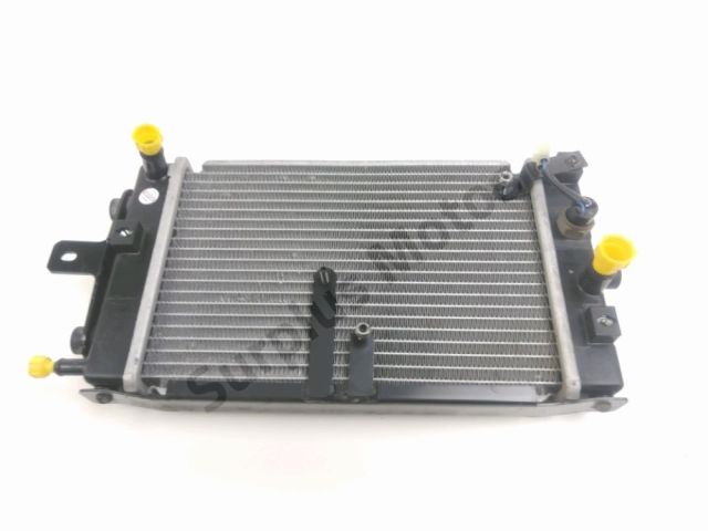 Radiateur eau occasion ADIVA AD3 2016