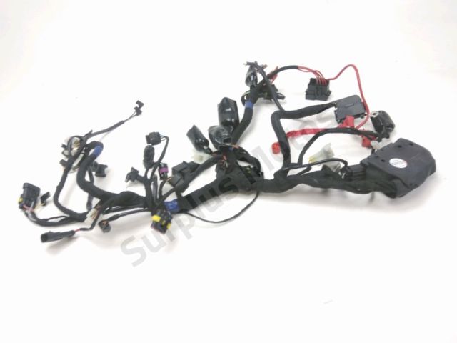 Faisceau electrique occasion QJMOTOR SRV 2024