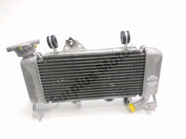 Radiateur eau occasion YAMAHA YZF-R 125 2020