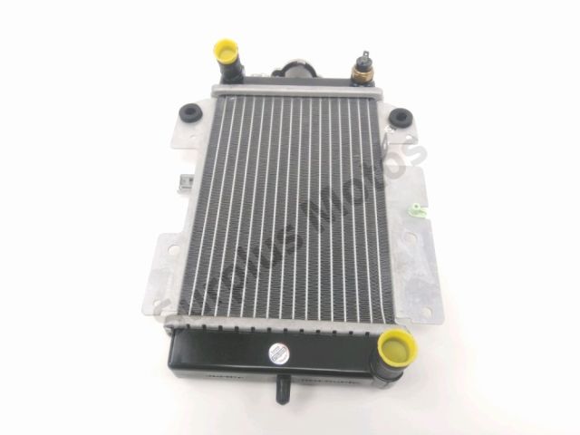 Radiateur eau occasion PEUGEOT PULSION 2019