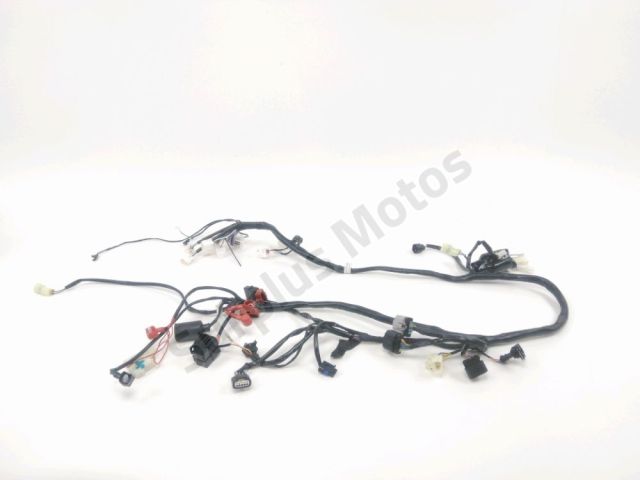 Faisceau electrique occasion MASH BELENA 2023