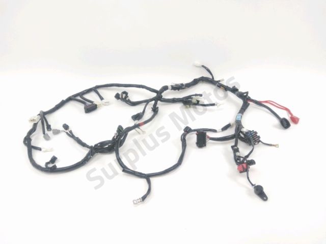 Faisceau electrique occasion YAMAHA YP 125 X-MAX 2024