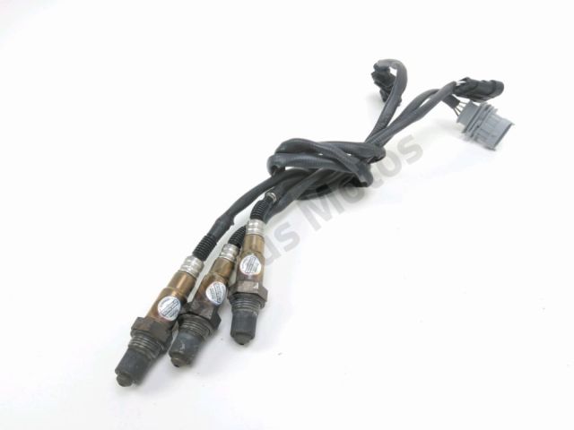 Sonde lambda occasion KTM DUKE 990 2024