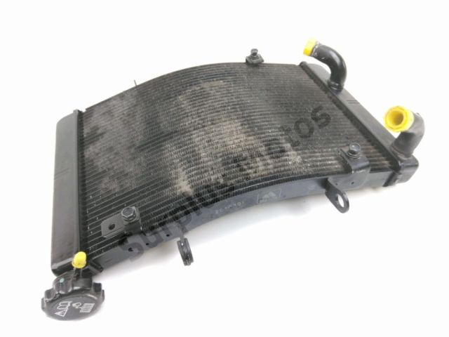 Radiateur eau occasion TRIUMPH STREET TRIPLE R 2015