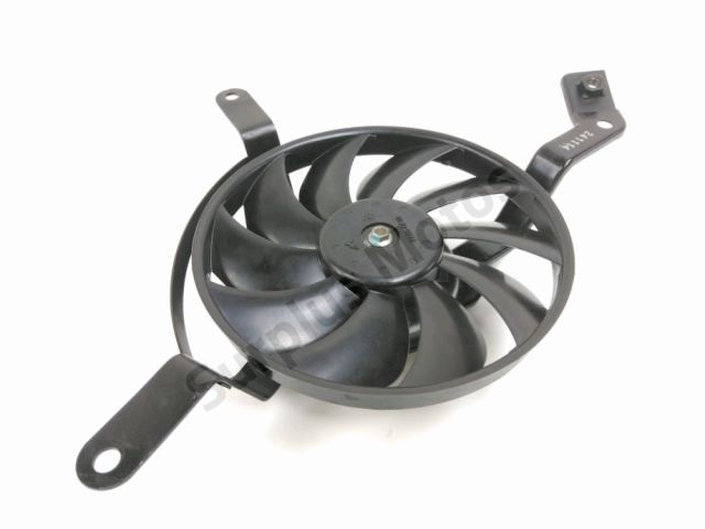 Ventilateur occasion TRIUMPH STREET TRIPLE R 2015