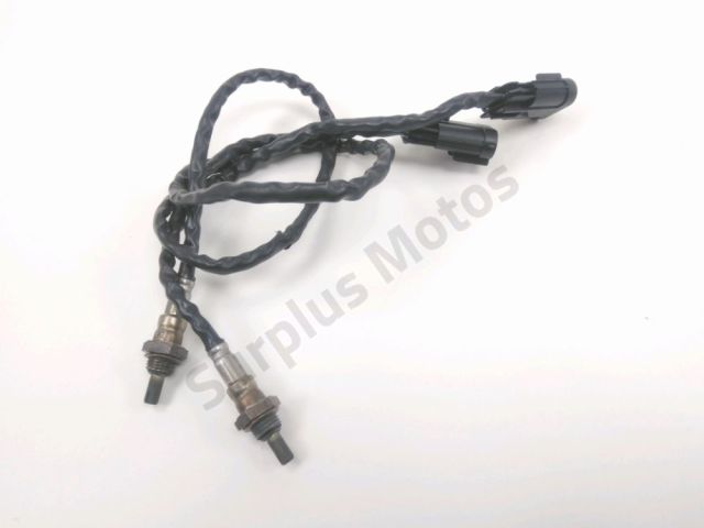 Sonde lambda occasion BENELLI LEONCINO 2024