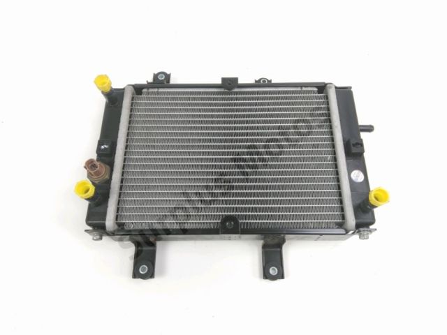 Radiateur eau occasion SYM GTS 2011