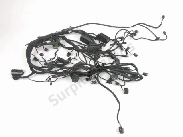 Faisceau electrique occasion BMW F 900 XR 2023