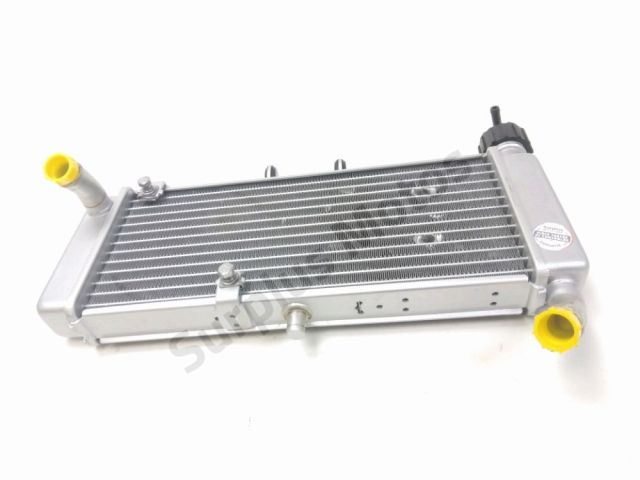 Radiateur eau occasion MALAGUTI MONTE PRO 2021