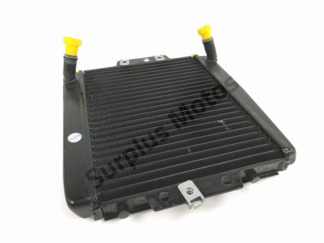 Radiateur eau occasion PIAGGIO MP3 250 2010
