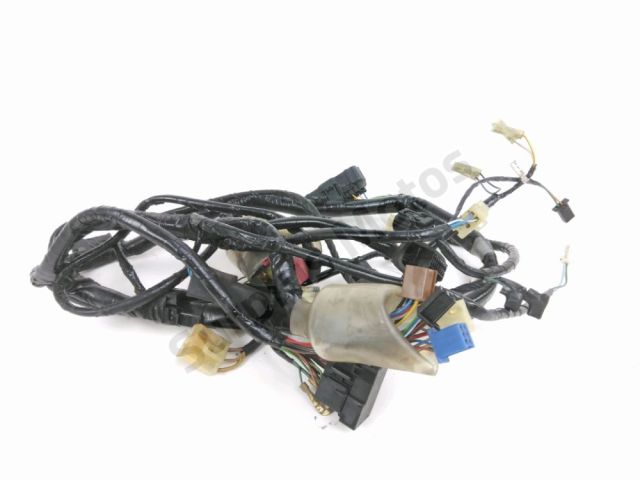 Faisceau electrique occasion HONDA CBF 600 2006