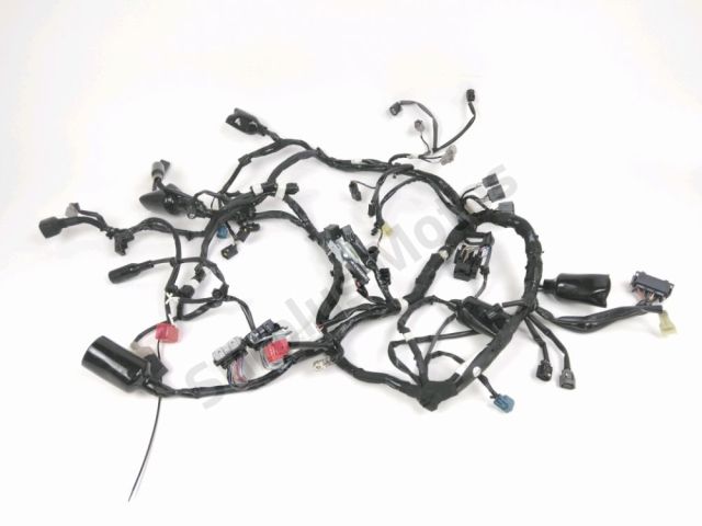 Faisceau electrique occasion KAWASAKI VERSYS 650 2022