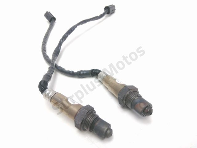 Sonde lambda occasion VOGE AC 500 2024