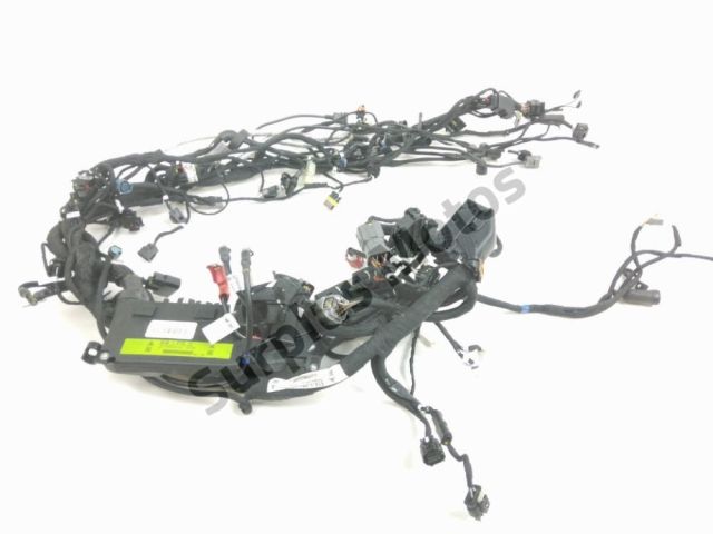 Faisceau electrique occasion DUCATI MULTISTRADA V4 PIKES PEAK 2025