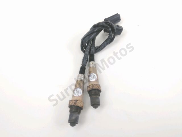 Sonde lambda occasion CF MOTO NK SPORT 2024