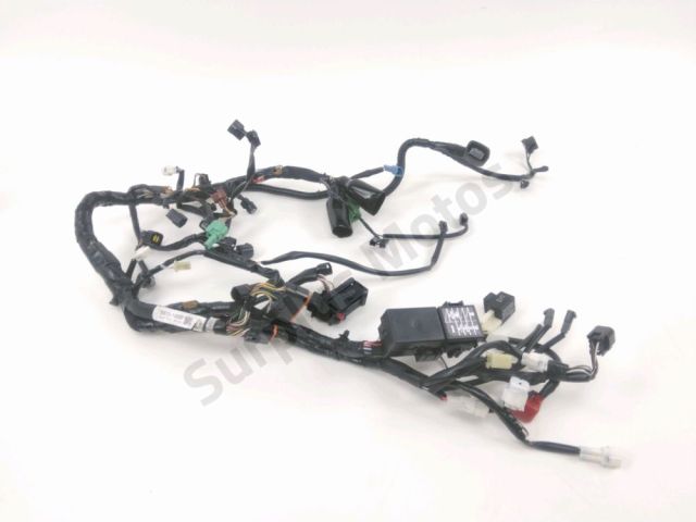 Faisceau electrique occasion SUZUKI SV 650 2017