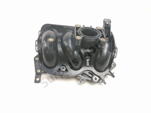 Pipe admission occasion TRIUMPH TRIDENT 2022