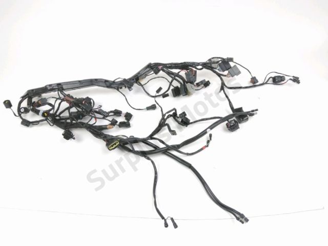 Faisceau electrique occasion TRIUMPH TIGER SPORT 2021