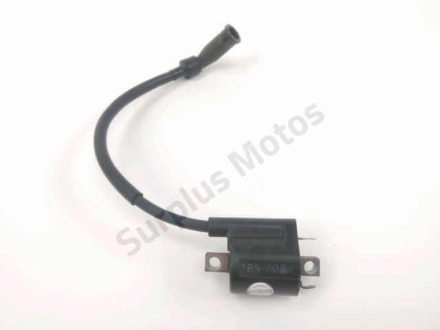 Bobine allumage occasion YAMAHA YBR 125 2009