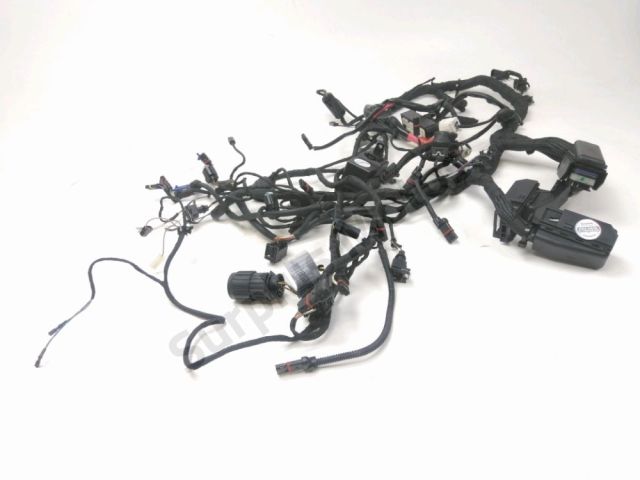 Faisceau electrique occasion BMW R 1200 R 2007