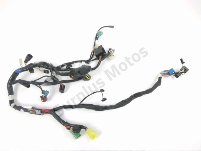 Faisceau moteur occasion SUZUKI RV 125 VANVAN 2016