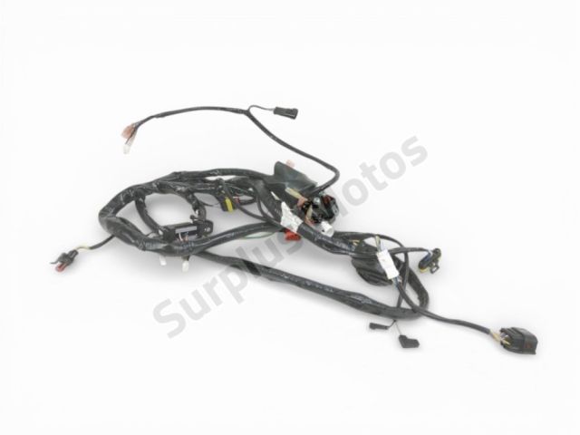 Faisceau electrique occasion SILENCE S01 2024