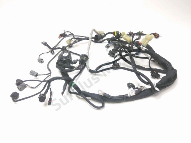 Faisceau electrique occasion DUCATI MULTISTRADA V4 S 2021