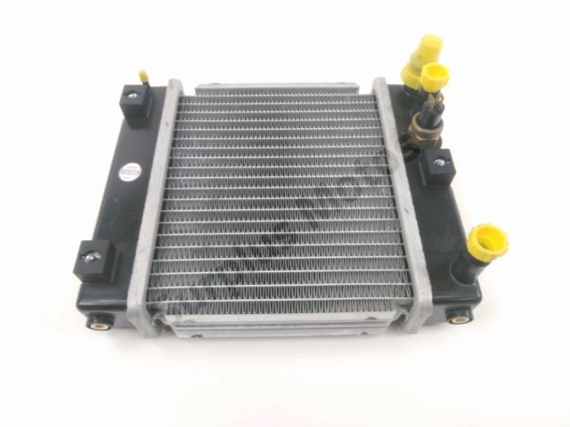 Radiateur eau occasion KYMCO GRAND DINK 2012