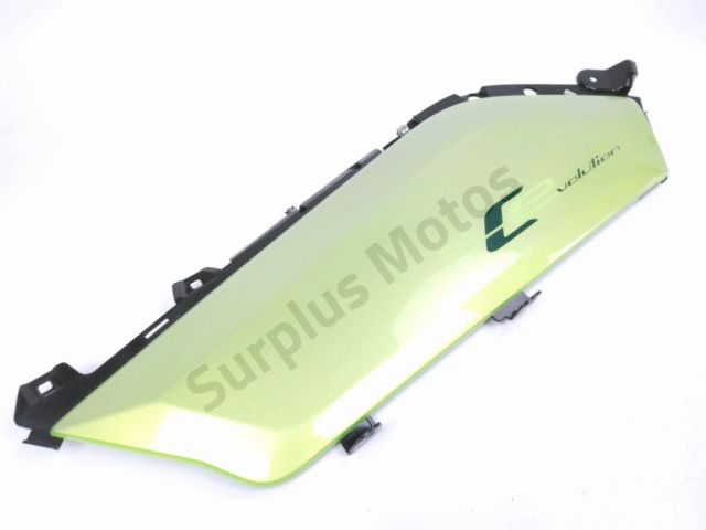 Cache lateral gauche occasion BMW C-EVO 2018