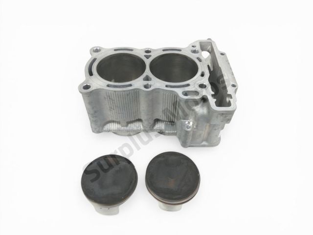 Bloc cylindre occasion YAMAHA XP 560 T-MAX 2021