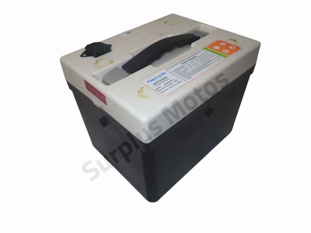Batterie de traction occasion LIFAN YOUBEE 2020