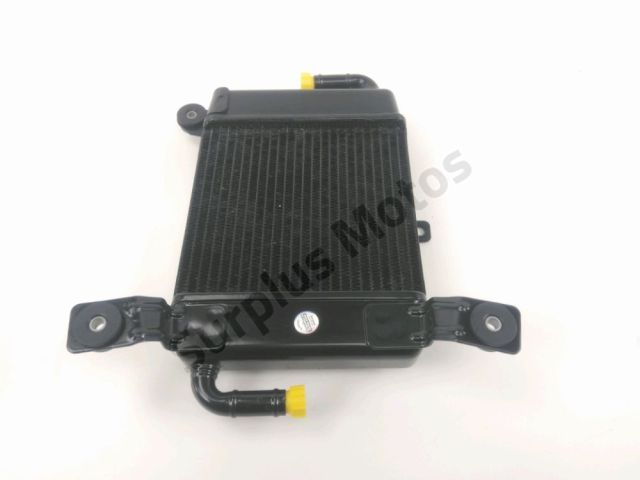 Radiateur eau occasion BMW CE 04 2024