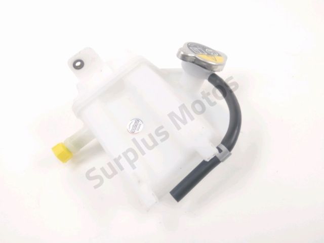 Vase expansion occasion BMW CE 04 2024