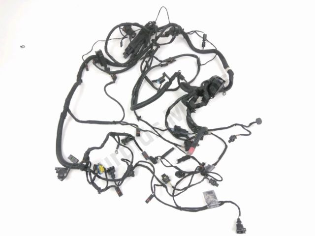 Faisceau electrique occasion BMW F 800 GS 2017