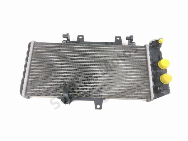 Radiateur eau occasion BMW F 800 GS 2017