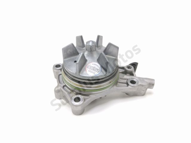 Pompe a eau occasion APRILIA CAPONORD 2014