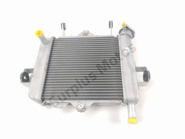 Radiateur eau occasion SUZUKI GSX-S 125 2021