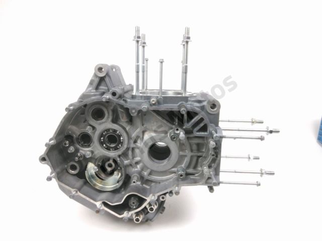 Carter moteur occasion APRILIA CAPONORD 2014