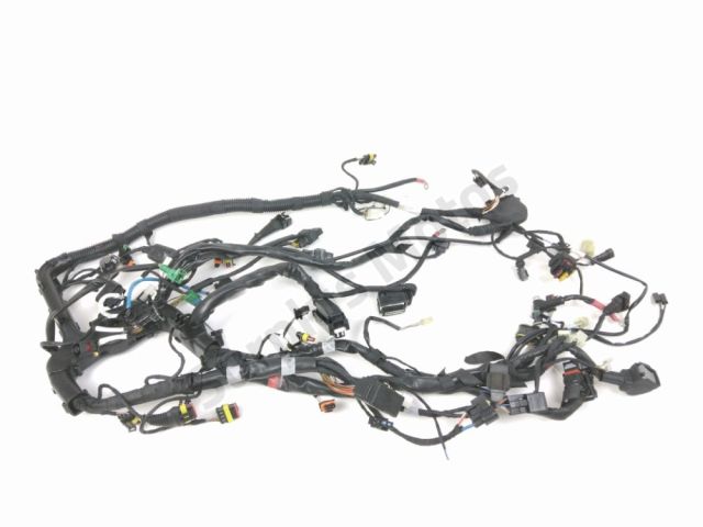 Faisceau electrique occasion APRILIA CAPONORD 2014