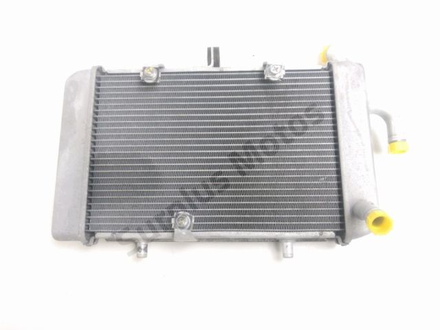 Radiateur eau occasion YAMAHA CZD 300 X-MAX 2018