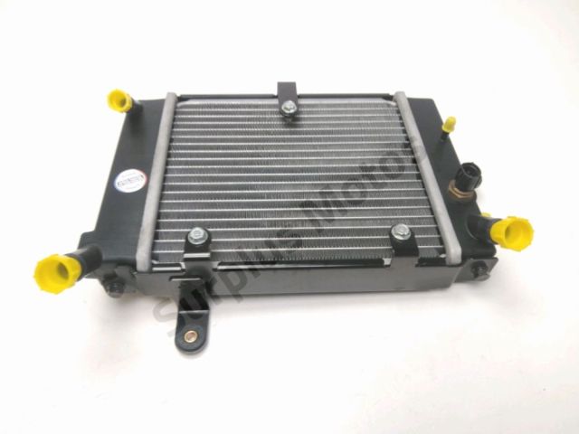 Radiateur eau occasion DAELIM S3 2011