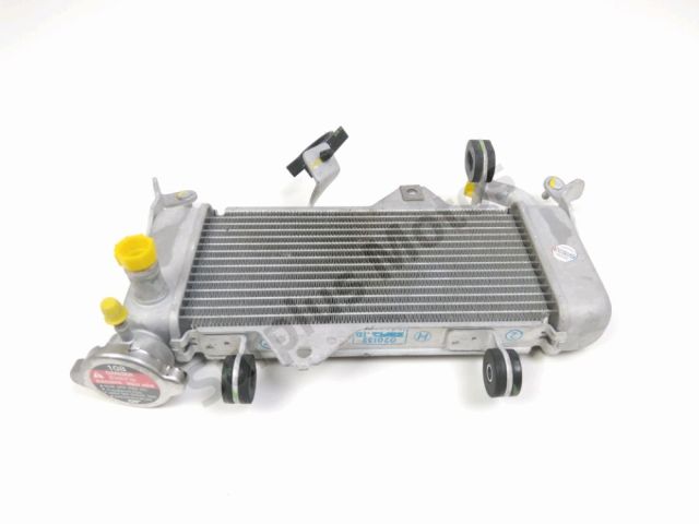 Radiateur eau occasion YAMAHA MT 125 2024