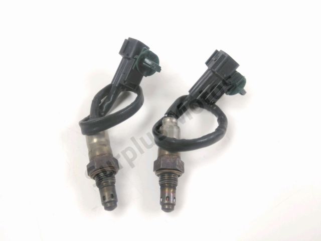 Sonde lambda occasion APRILIA TUONO 660 2024