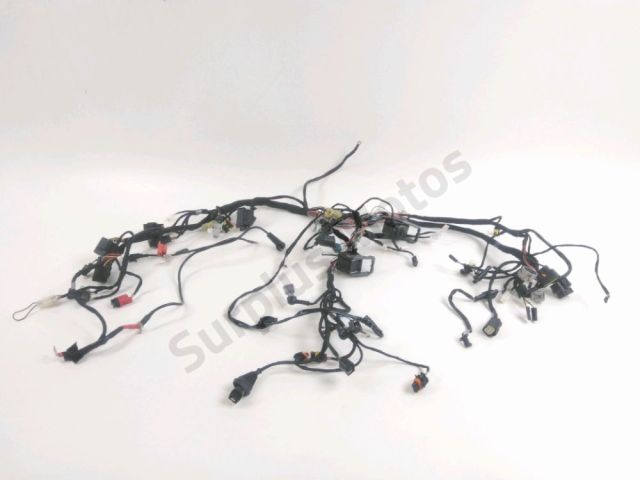 Faisceau electrique occasion APRILIA TUONO 660 2024