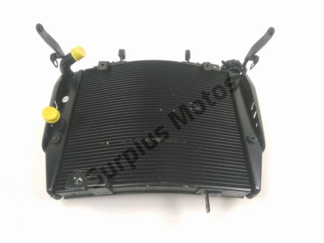 Radiateur eau occasion TRIUMPH STREET TRIPLE  2020